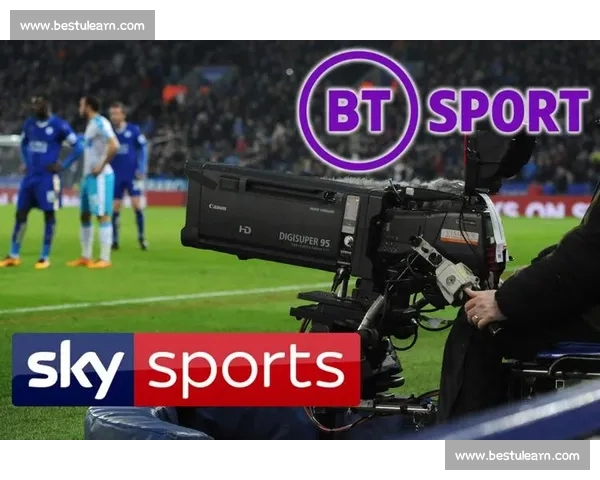 全面升级优化 体育APP安卓版本带来全新体验与实用功能 全面升级优化 体育APP安卓版本带来全新体验与实用功能